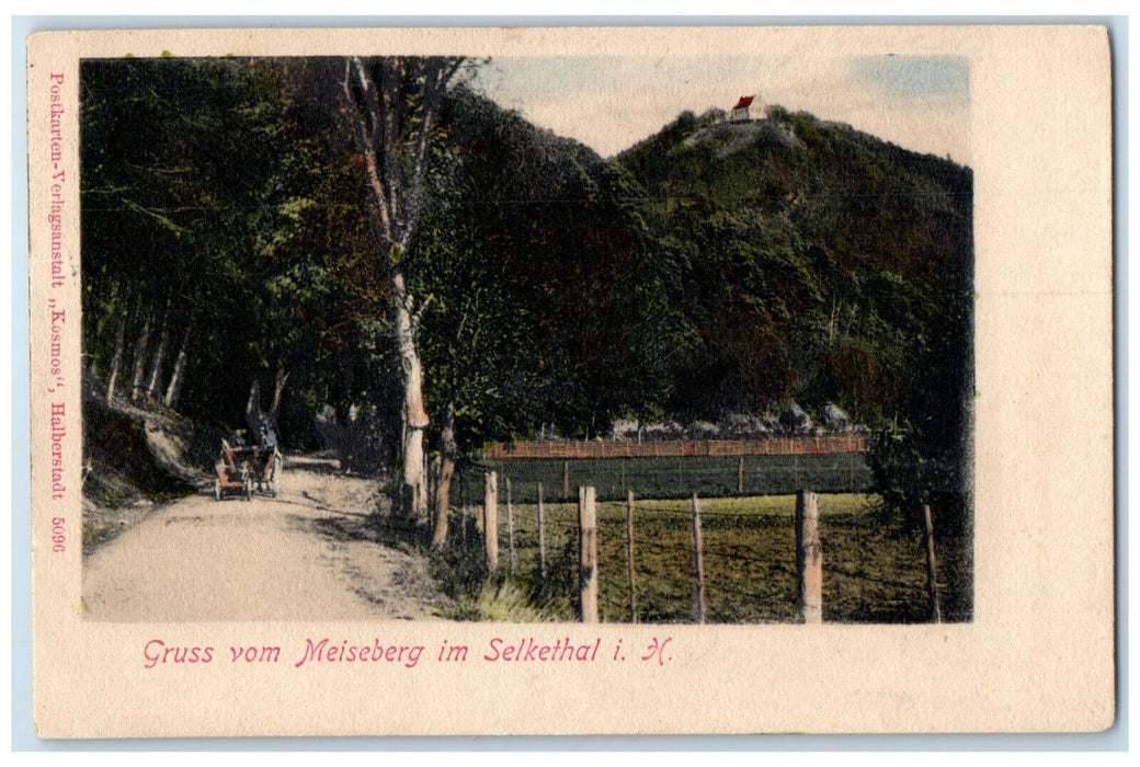 c1905 Greetings from Meiseberg Im Selkethal i. H. Germany Antique Postcard