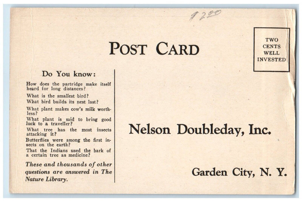 Free Examination Card Garden City New York NY Advertising River Deer Postcard