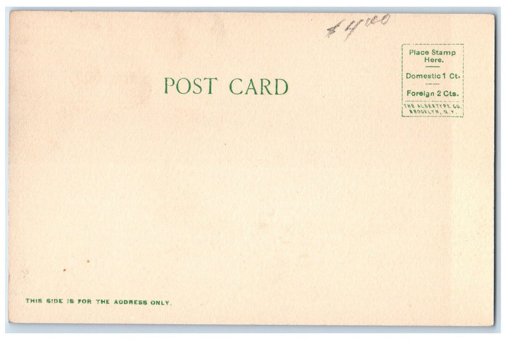 1905 Electric Park Gardens Fountain Exterior Field Building Iola Kansas Postcard
