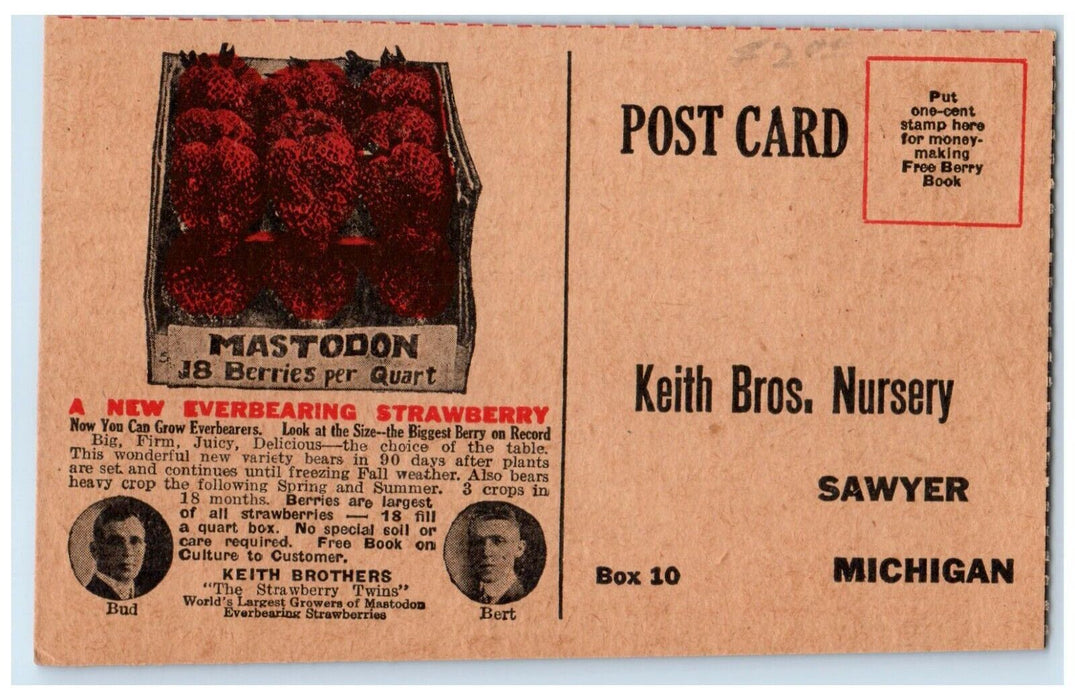Red Gold Ferry Book Keith Bros Nursery Sawyer Michigan MI Advertising Postcard