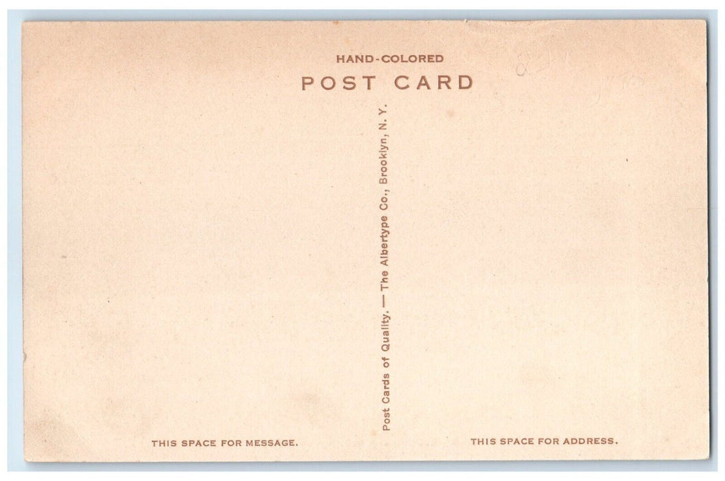 c1940 Franklin Avenue Road Exterior Flag National Military Home Kansas Postcard