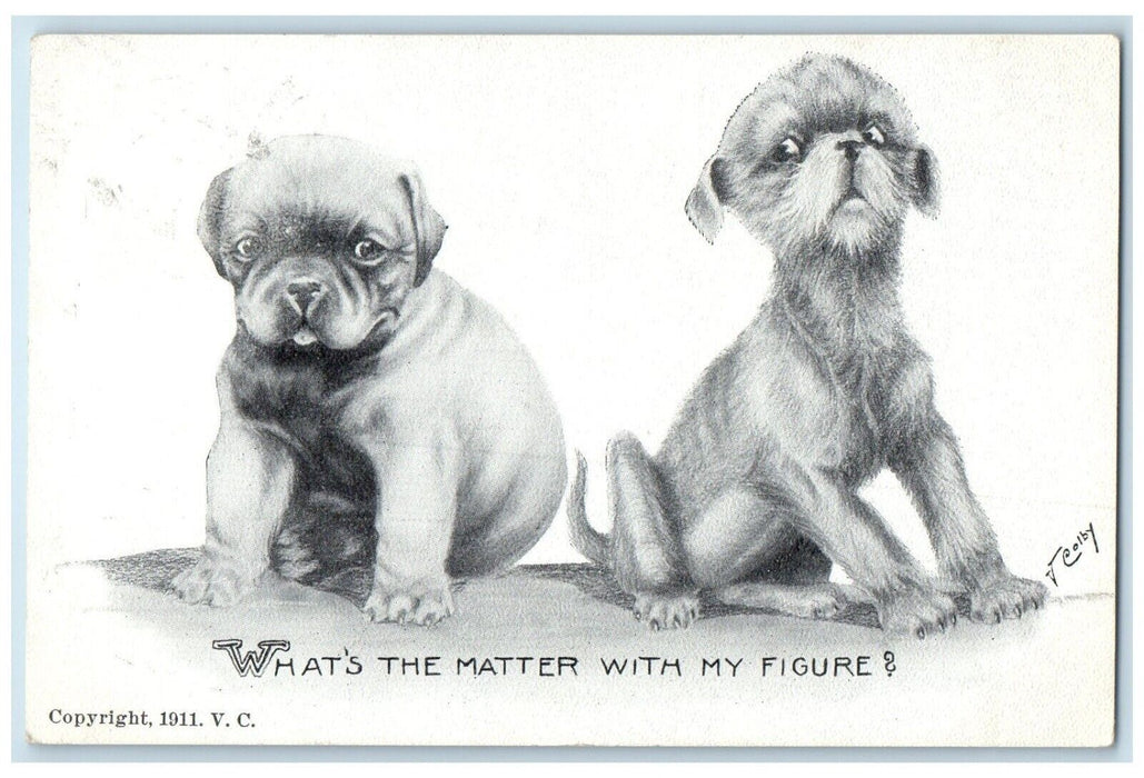 c1910's Puppies Dogs What's The Matter With My Figure Madison SD Posted Postcard