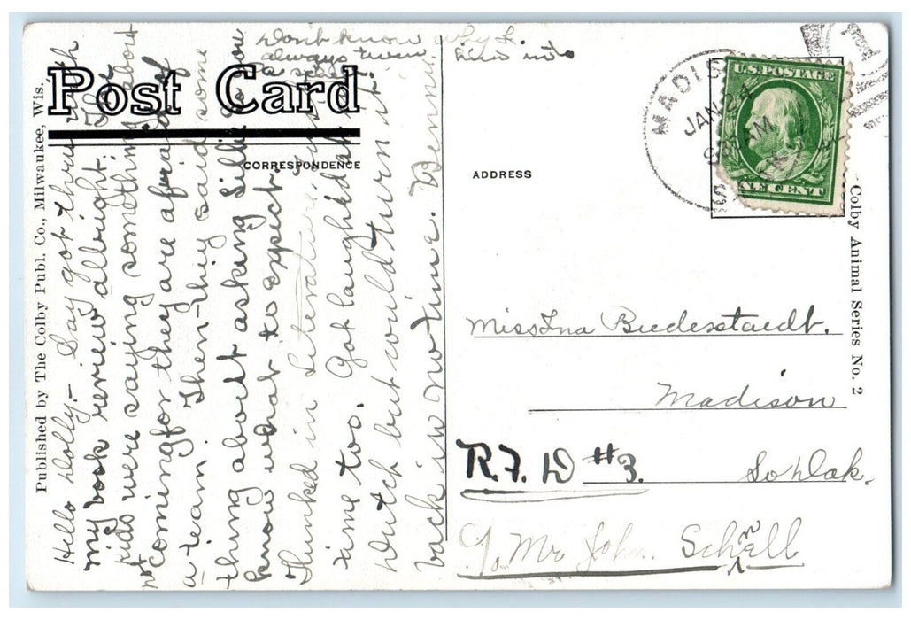c1910's Puppies Dogs What's The Matter With My Figure Madison SD Posted Postcard
