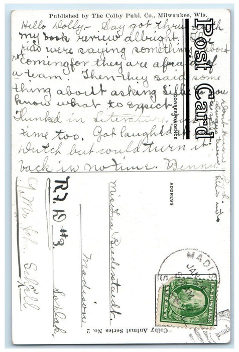 c1910's Puppies Dogs What's The Matter With My Figure Madison SD Posted Postcard