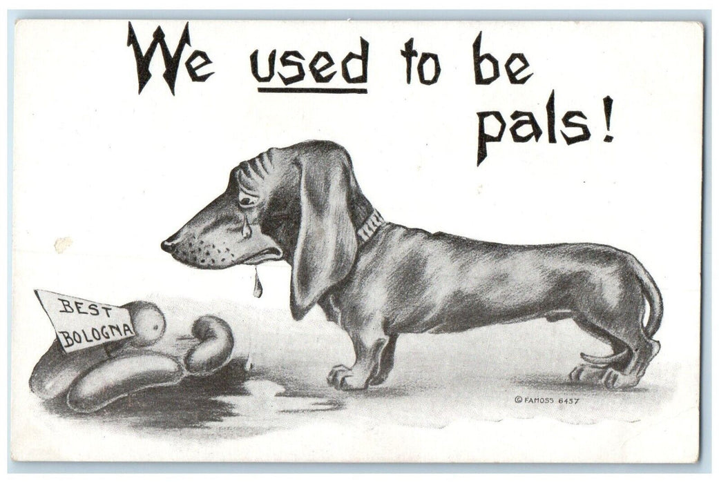 c1910's Sad Dachshund Dog Best Bologna We Used To Be Pals Madison SD Postcard