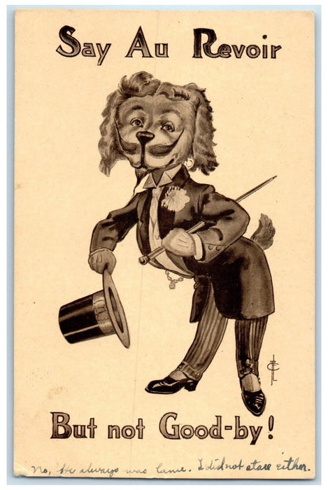 c1910's Anthropomorphic Poodle Dog Magician France Posted Antique Postcard