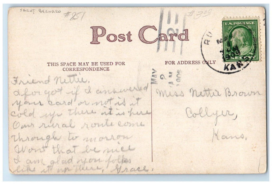 1909 Pretty Gir And Saint Bernard Dog Flowers Collyer Kansas KS Antique Postcard