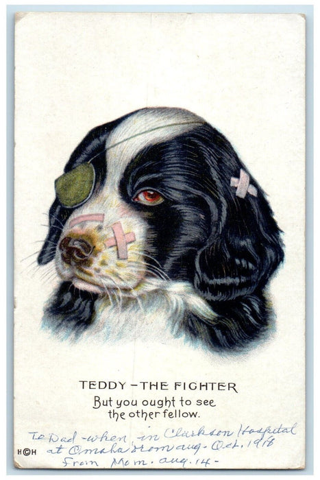 1918 Injured Dog Teddy The Fighter Omaha Nebraska NE Posted Antique Postcard