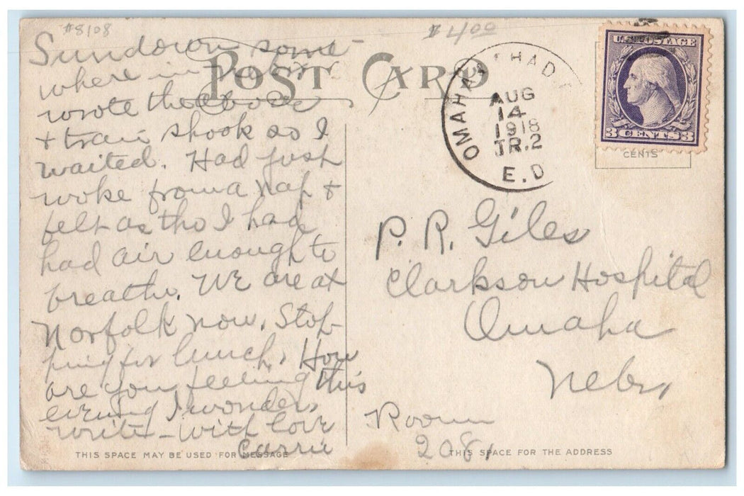 1918 Injured Dog Teddy The Fighter Omaha Nebraska NE Posted Antique Postcard