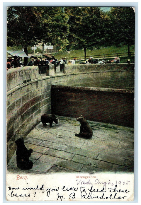 1905 Three Bear Scene Barengraben Bern Switzerland Antique Posted Postcard