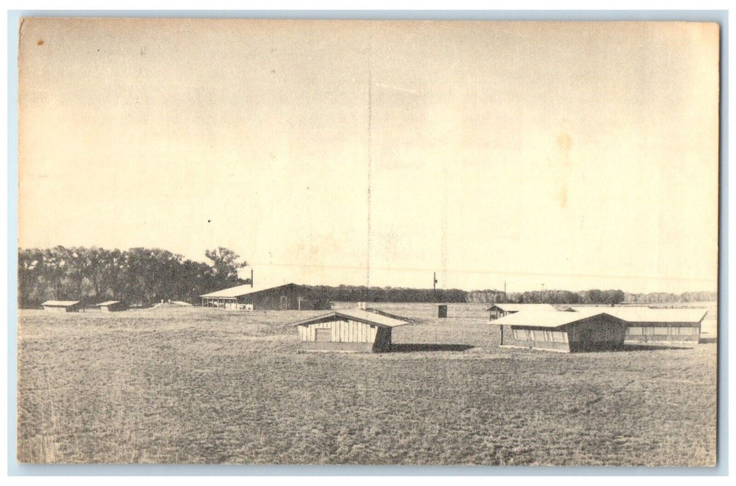 1910 High Plan United Presbyterian Church Camp Lark Coldwater Kansas KS Postcard