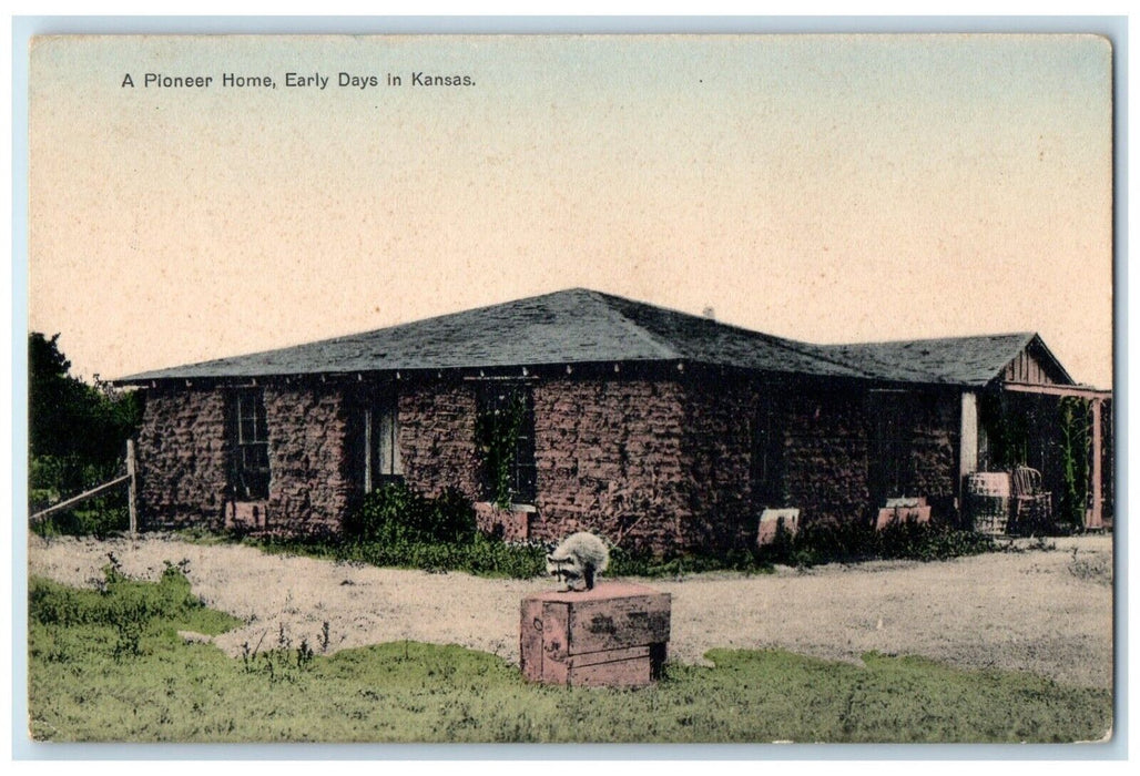 1910 Pioneer Home Early Days Racoon House Kansas Animal Vintage Antique Postcard