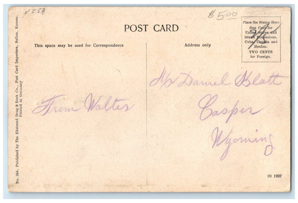 1910 Pioneer Home Early Days Racoon House Kansas Animal Vintage Antique Postcard