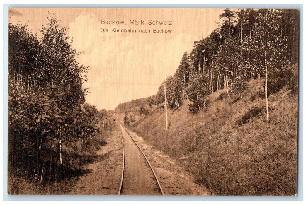c1940's The Kleinbahn To Buckow Mark Switzerland Unposted Vintage Postcard