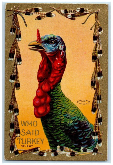 1910 Wishbone Who Said Turkey Embossed Colby Kansas KS Posted Antique Postcard