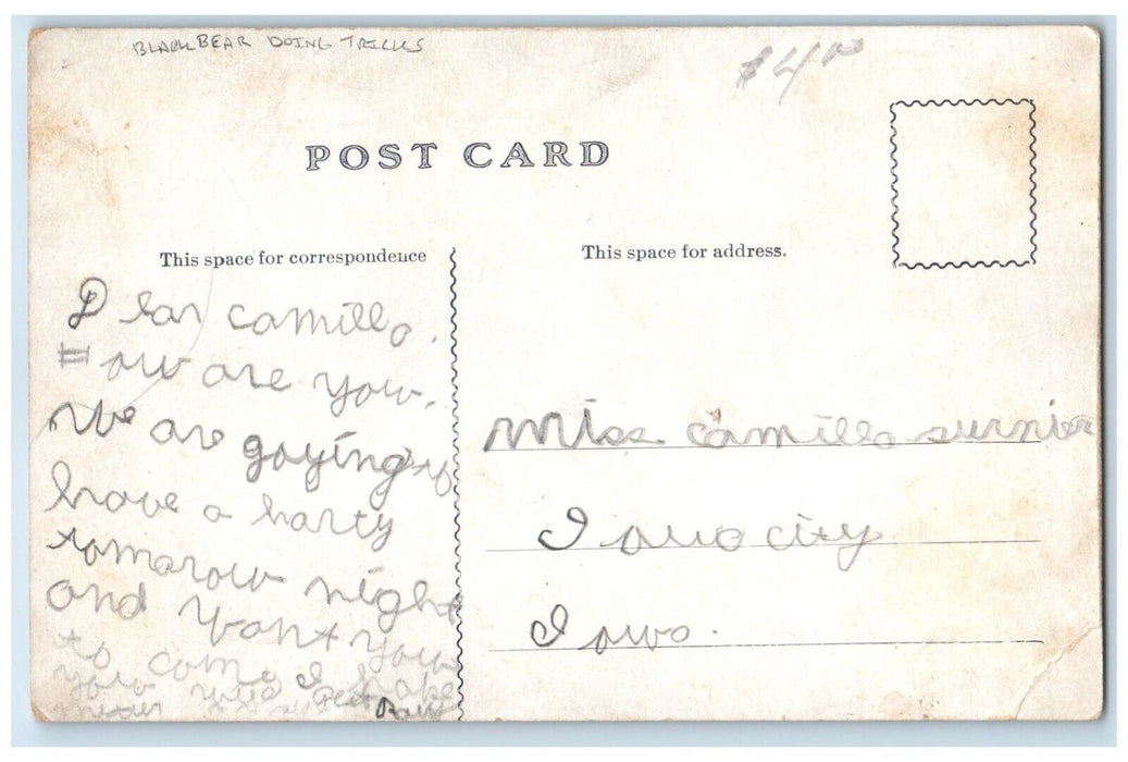 c1910's Black Bear Doing Tricks Chair Iowa City Iowa IA Posted Antique Postcard