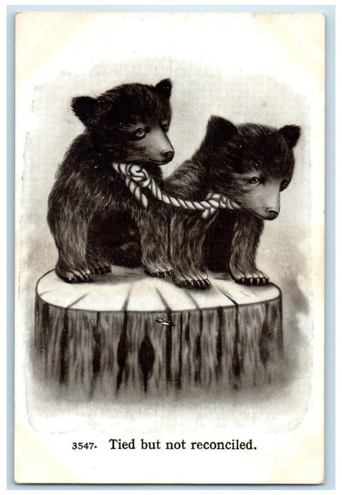 c1910's Dog Puppies Tied But Not Reconciled Animals Unposted Antique Postcard