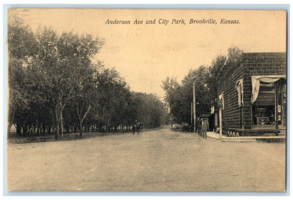 1908 Anderson Ave & City Park Building Trees Brookville Kansas Vintage Postcard