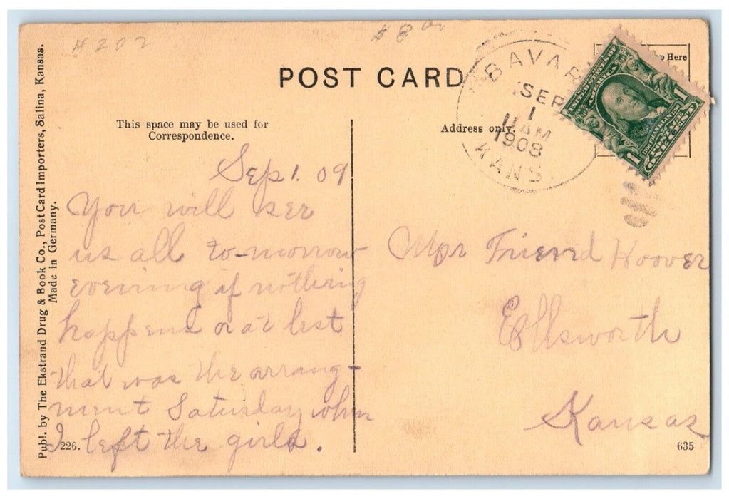 1908 Anderson Ave & City Park Building Trees Brookville Kansas Vintage Postcard