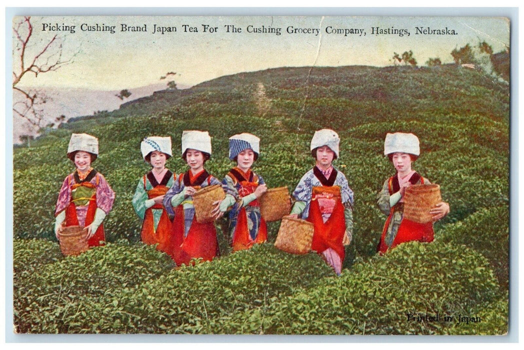 Picking Cushing Japan Tea Cushing Grocery Co. Hastings NE Advertising Postcard