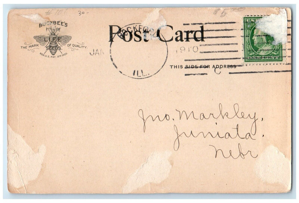 Rockford Seed Farms Forest City Greenhouses Rockford IL Advertising Postcard