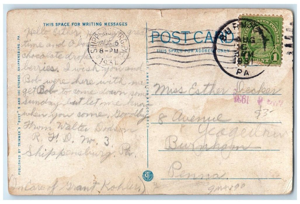1931 Long Path Education CVST College Shippensburg Pennsylvania Vintage Postcard