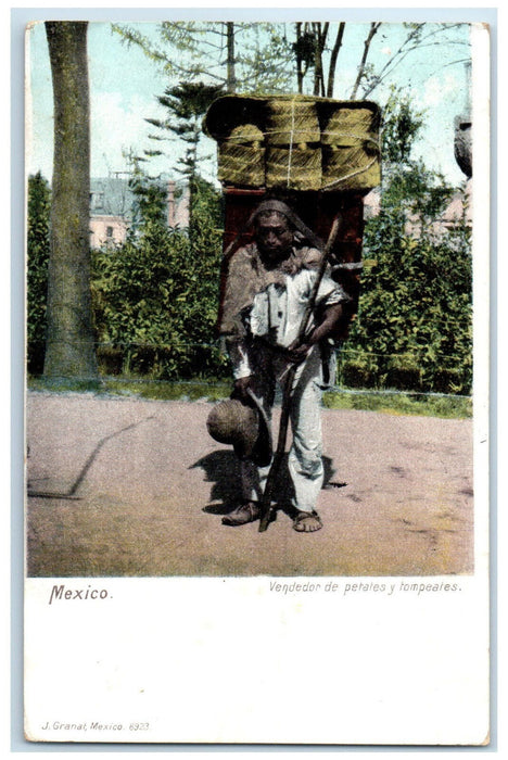 c1905 Man Selling Potato And Hompeates Mexico Posted Antique Postcard