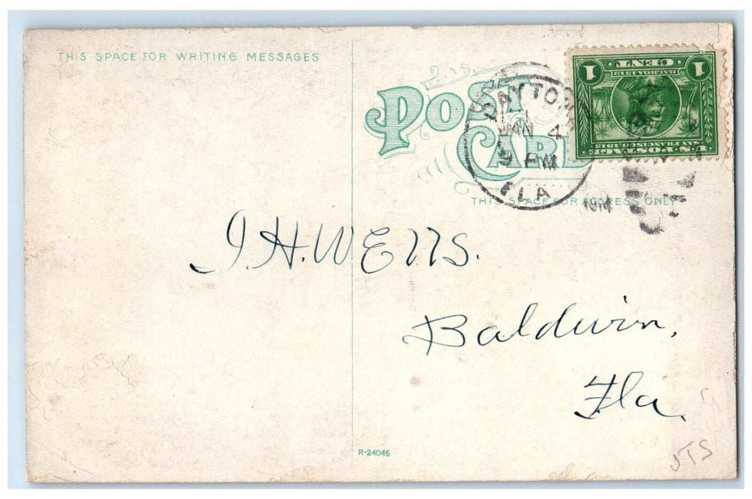 1914 Florida Razor Back Root Hog Die Animal Trees Forest Florida Posted Postcard
