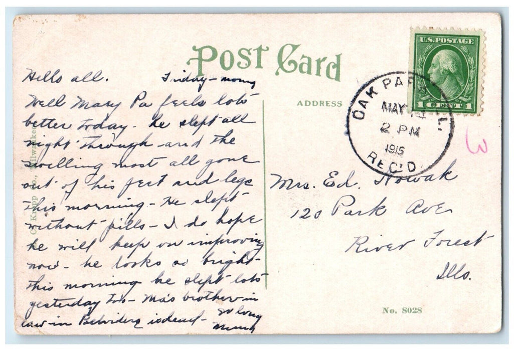 1915 The Gail Borden Public Library Building Elgin Illinois IL Antique Postcard