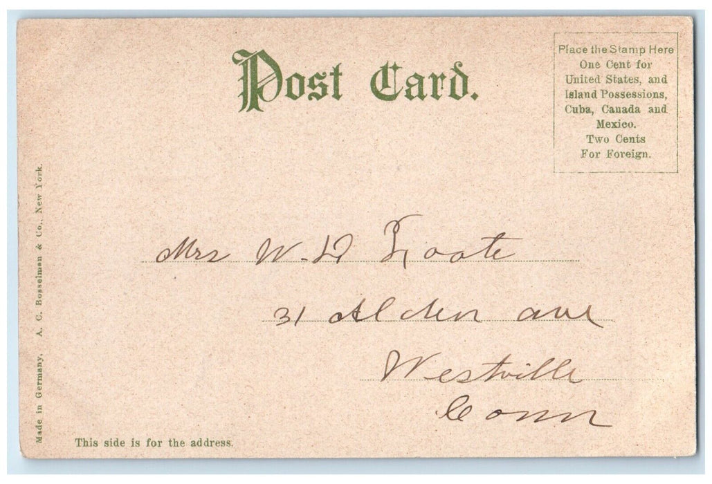 c1905 Lincoln Monument Lincoln Park Chicago Illinois IL Posted Antique Postcard