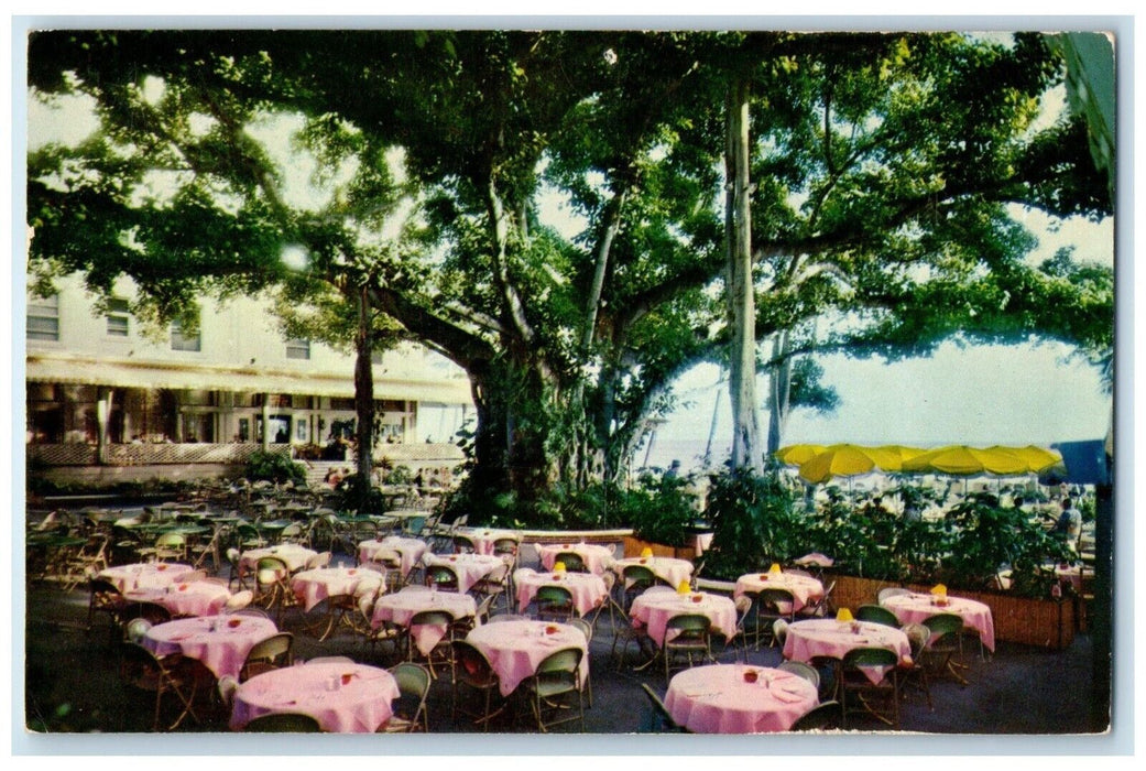 1960 Moana Hotel's World Famous Banyan Court Lanai Honolulu Hawaii HI Postcard