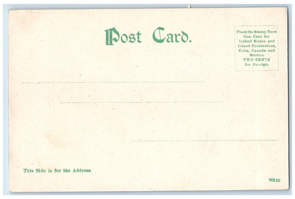 c1905 Scenic View Pond Lileies Hanging Moss River Florida FL Unposted Postcard