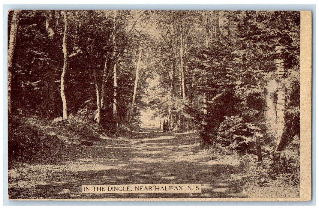 1910 In The Dingle Near Halifax Nova Scotia Canada Uely MI Postcard