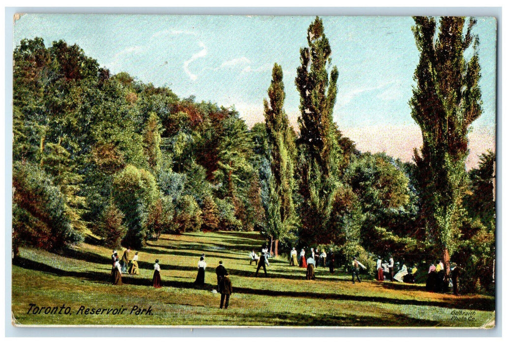 c1910 View of Trees in Toronto Reservoir Park Ontario Canada Posted Postcard