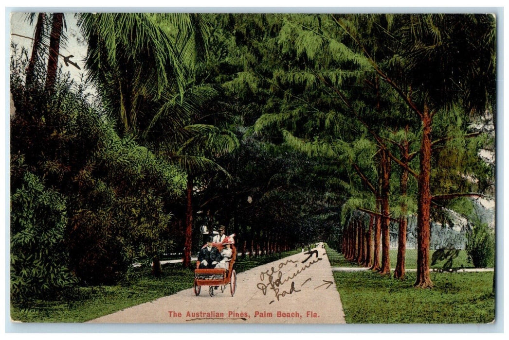 c1910 Scenic View Australian Pines Carriage Palm Beach Florida Vintage Postcard