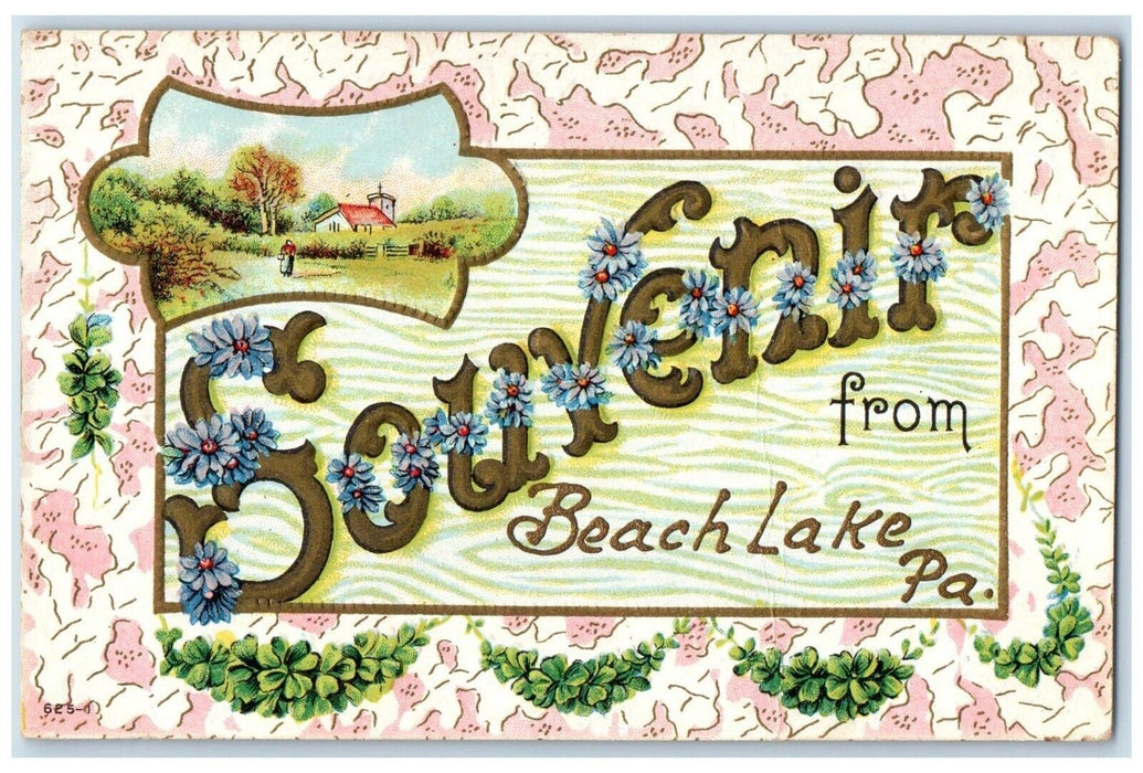 c1910's Souvenir From Beach Lake Pennsylvania PA, Flowers Shamrock Postcard