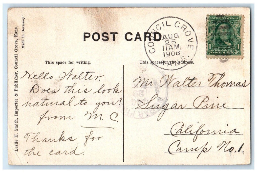 1908 Dam Across Neosha River Lake Trees Council Grove Kansas KS Vintage Postcard