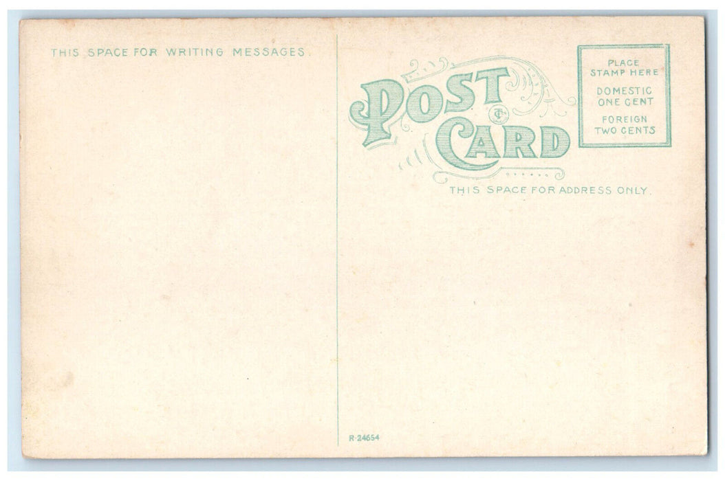c1910 Roller Coaster Athletic Field Crystal Beach Canada Unposted Postcard