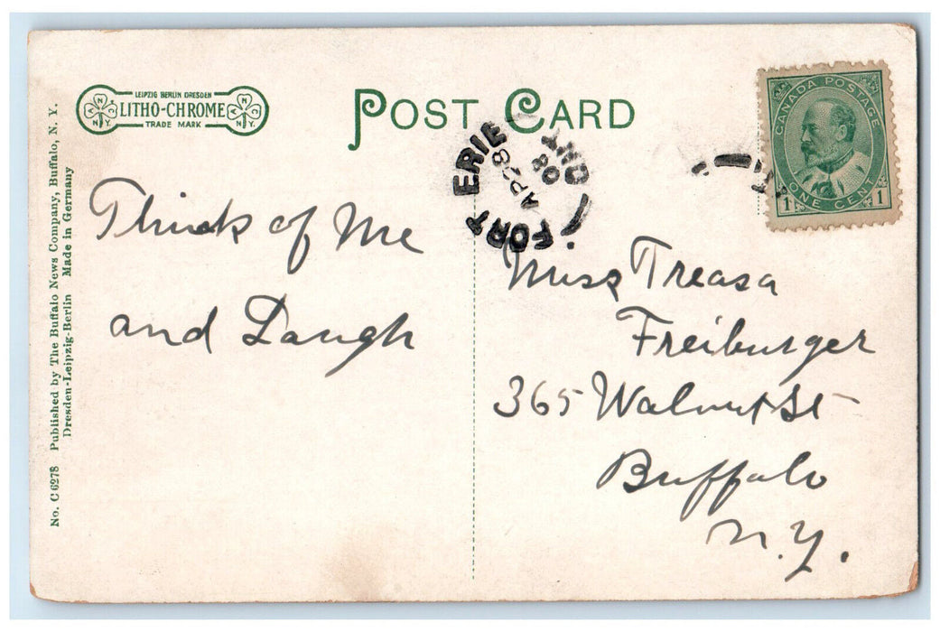 1908 Crowd In The Grove Fort Erie Ontario Canada Unposted Antique Postcard