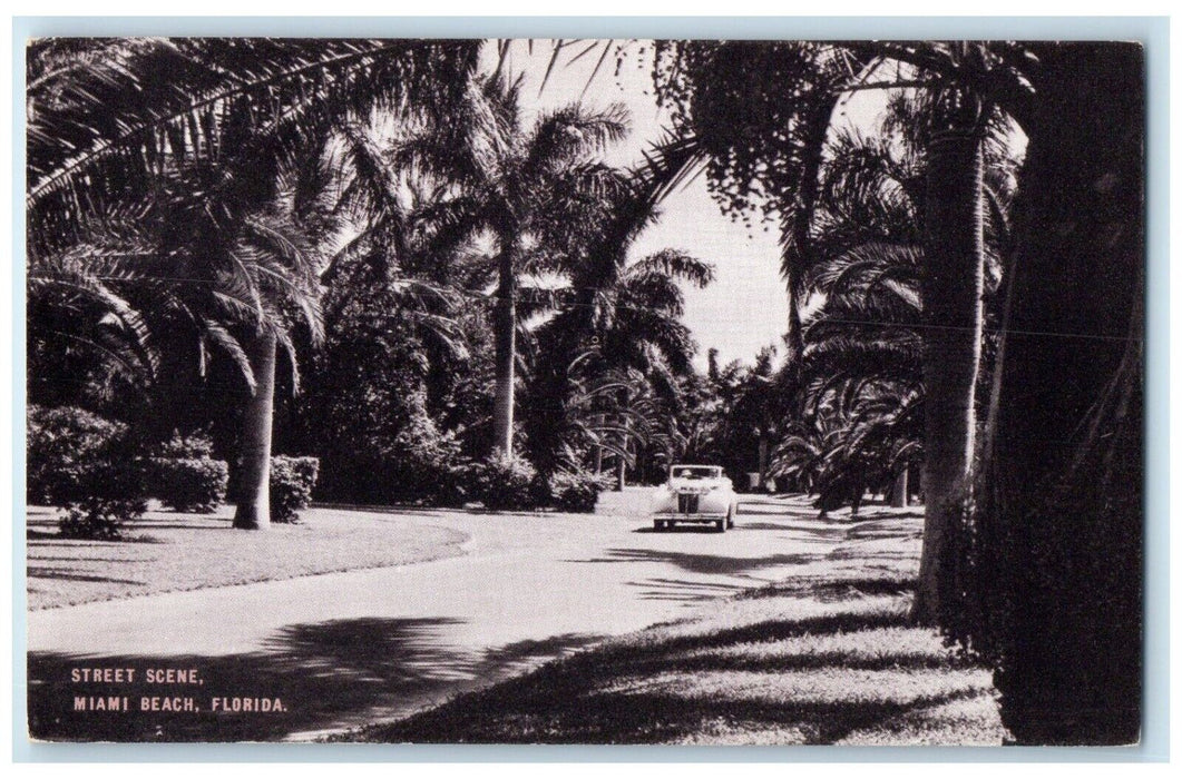 1910 Street Scene Classic Car Palm Trees Miami Beach Florida FL Antique Postcard
