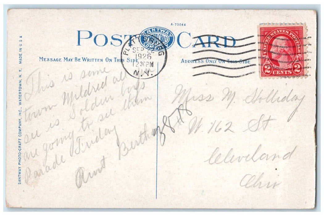 1926 Aerial View Saranac Lake Village Mt Baker Adirondacks New York NY Postcard