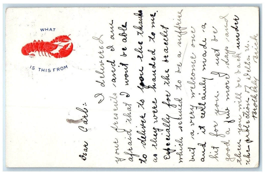 1906 Lobster What Is This From Paw Paw Illinois IL Posted Antique Postcard