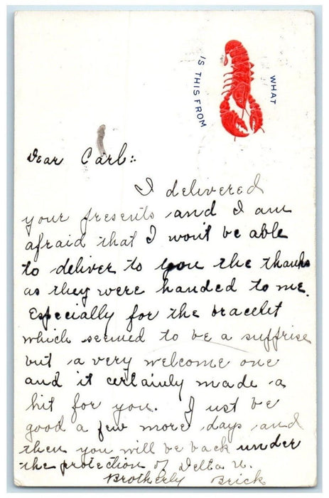 1906 Lobster What Is This From Paw Paw Illinois IL Posted Antique Postcard