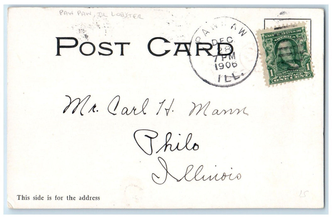 1906 Lobster What Is This From Paw Paw Illinois IL Posted Antique Postcard