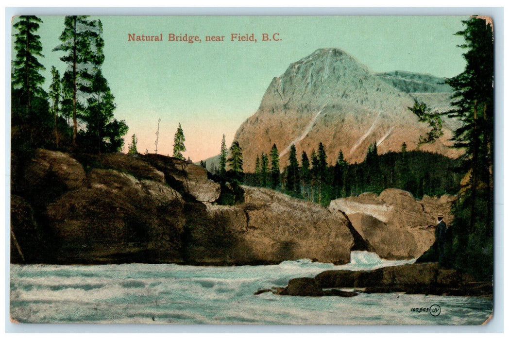 c1910 Natural Bridge Near Field British Columbia Canada Antique Postcard