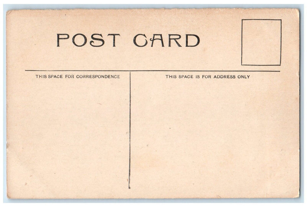 c1910s Public Library Building Scene Street Mendota Illinois IL Antique Postcard