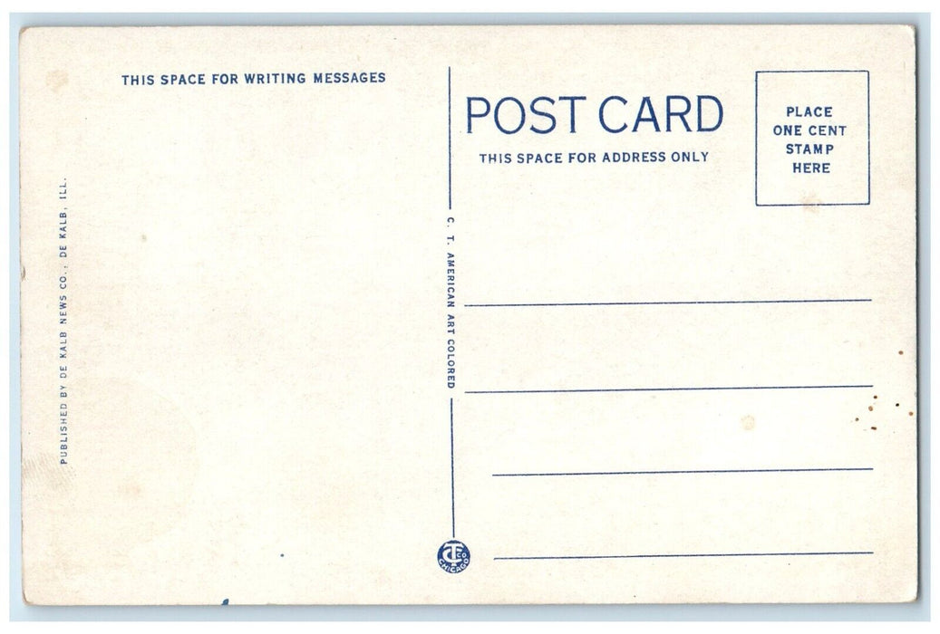 c1930's Northern Illinois State Teachers College De Kalb Illinois IL Postcard