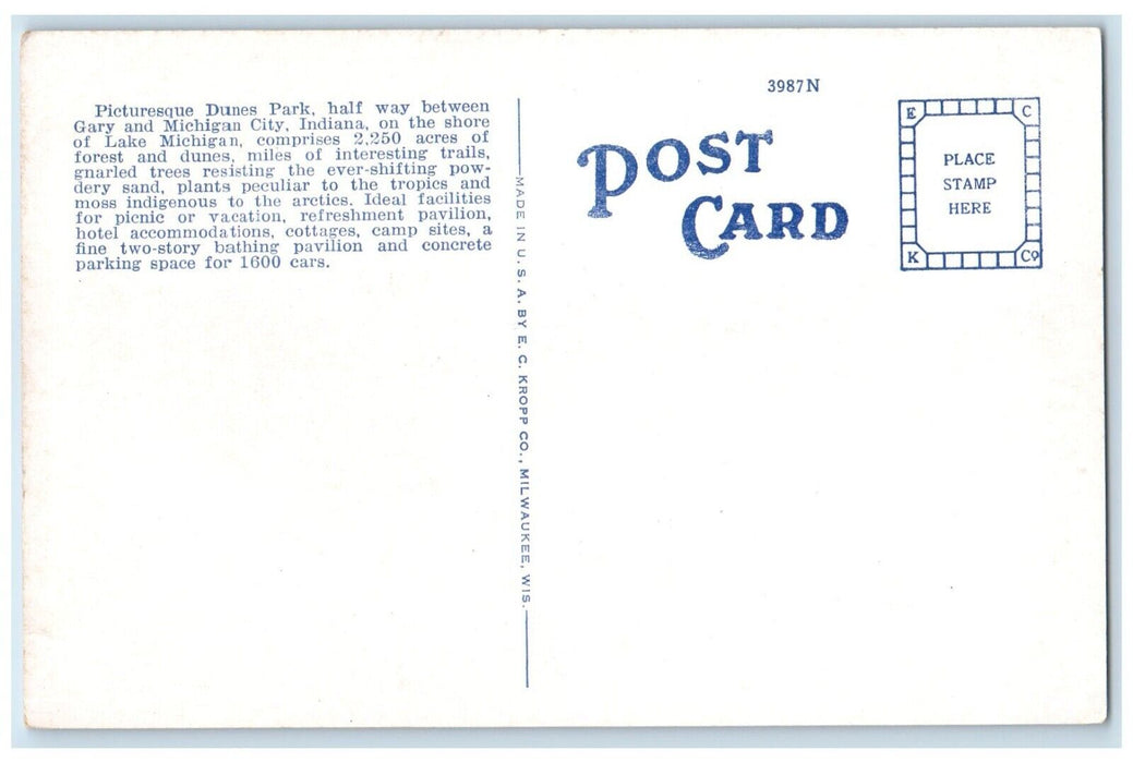 c1930 Footprints Sand Indiana Dunes State Park Shores Lake Michigan MI Postcard