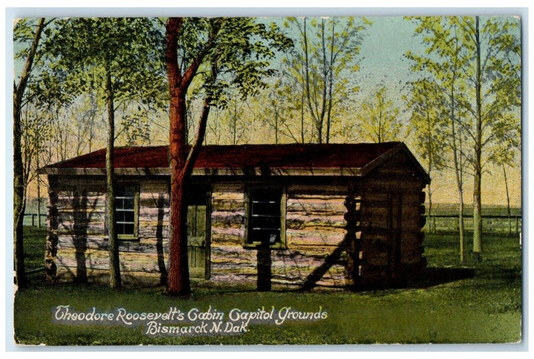 1914 Theodore Roosevelt's Capitol Grounds Bismarck North Dakota ND Postcard