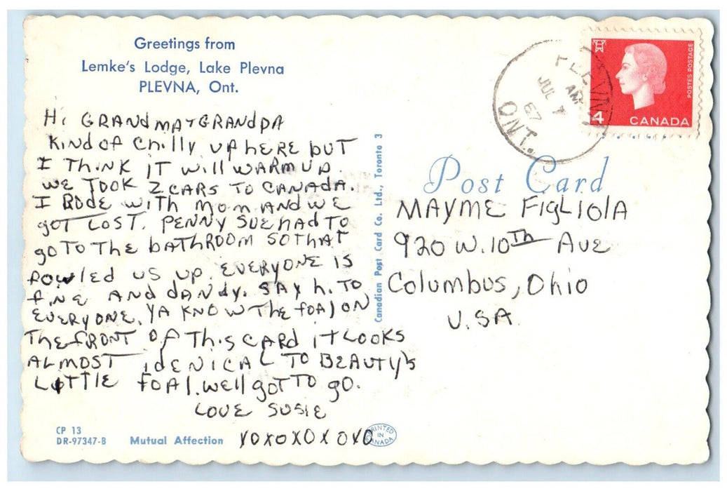 1967 Greetings From Lemke's Lodge Lake Plevna Ontario Canada Boy Horses Postcard